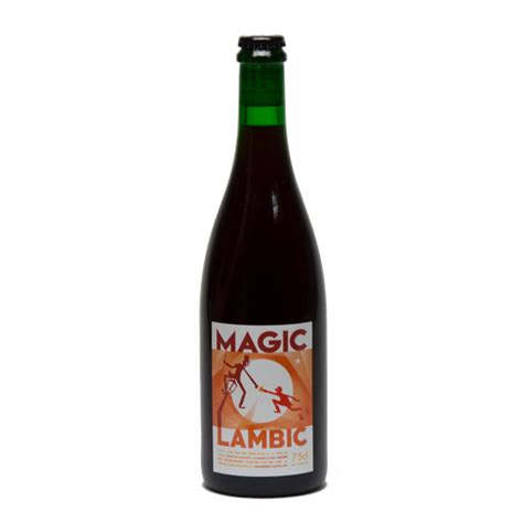 The Art of Brewing: A Masterclass with Cwntillon Magic Lambic's Brewmasters